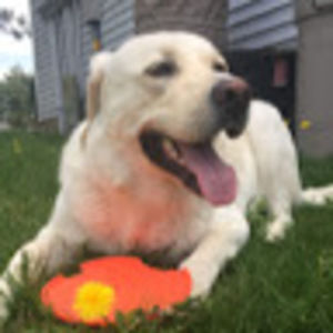 Meet your Posher, Gerson